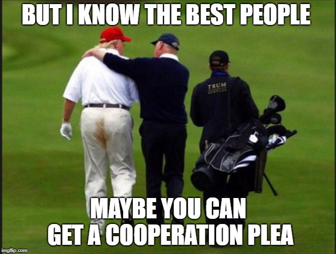 trump shits pants | BUT I KNOW THE BEST PEOPLE; MAYBE YOU CAN GET A COOPERATION PLEA | image tagged in trump shits pants | made w/ Imgflip meme maker