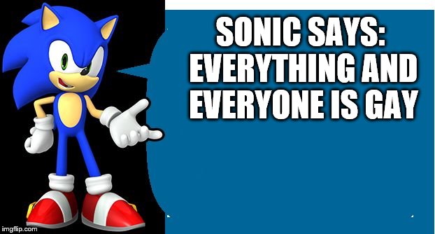 Another Sonic Says Meme | SONIC SAYS: EVERYTHING AND EVERYONE IS GAY | image tagged in another sonic says meme | made w/ Imgflip meme maker