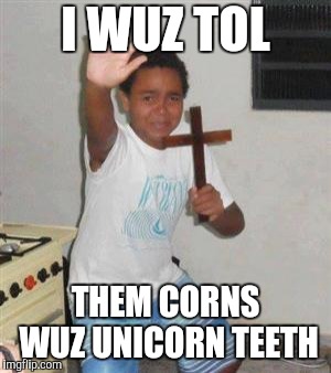 Scared Kid | I WUZ TOL THEM CORNS WUZ UNICORN TEETH | image tagged in scared kid | made w/ Imgflip meme maker