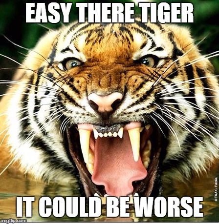 Tiger leash | EASY THERE TIGER; IT COULD BE WORSE | image tagged in tiger leash | made w/ Imgflip meme maker