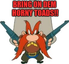Ohio State beat TCU | BRING ON DEM HORNY TOADS!! | image tagged in ohio state | made w/ Imgflip meme maker