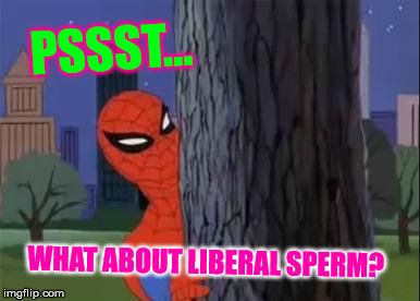 Spiderman Curious  | PSSST... WHAT ABOUT LIBERAL SPERM? | image tagged in spiderman curious | made w/ Imgflip meme maker