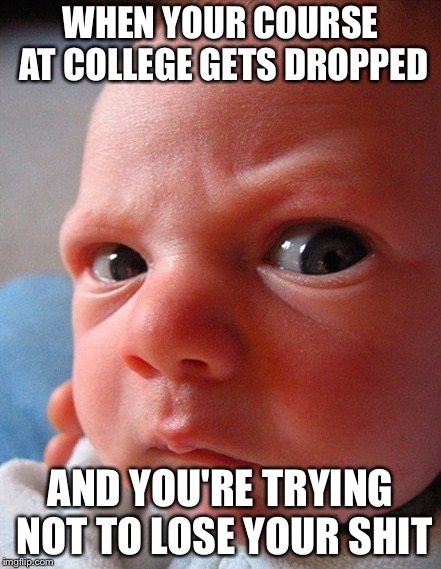 Course dropped |  WHEN YOUR COURSE AT COLLEGE GETS DROPPED; AND YOU'RE TRYING NOT TO LOSE YOUR SHIT | image tagged in college,memes,funny,angry | made w/ Imgflip meme maker