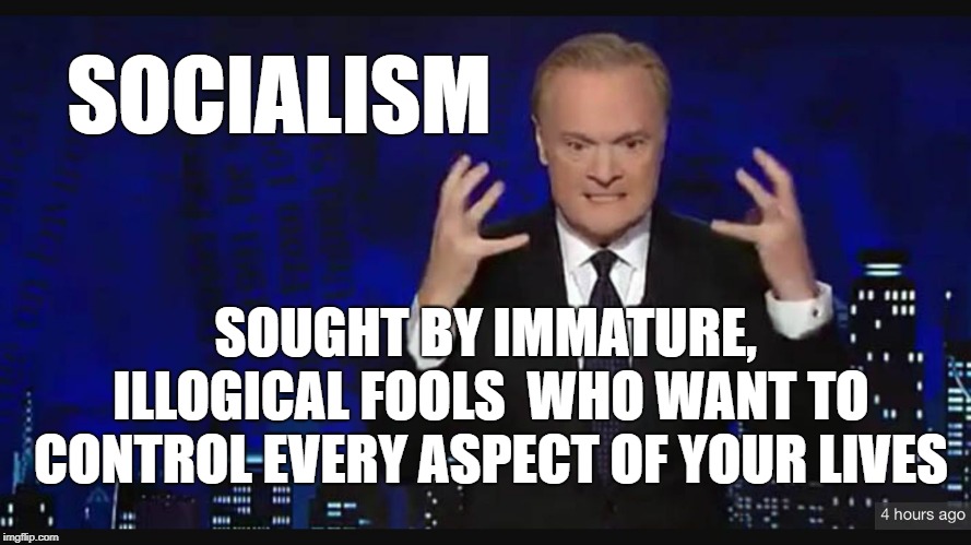 Angry odonnell | SOCIALISM; SOUGHT BY IMMATURE, ILLOGICAL FOOLS  WHO WANT TO CONTROL EVERY ASPECT OF YOUR LIVES | image tagged in angry odonnell | made w/ Imgflip meme maker