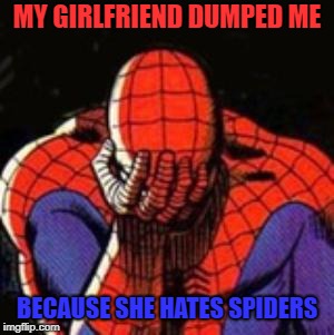 Crying spiderman
 | MY GIRLFRIEND DUMPED ME; BECAUSE SHE HATES SPIDERS | image tagged in memes,sad spiderman,spiderman,funny | made w/ Imgflip meme maker