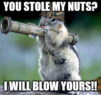 Bazooka Squirrel Meme | YOU STOLE MY NUTS? I WILL BLOW YOURS!! | image tagged in memes,bazooka squirrel | made w/ Imgflip meme maker