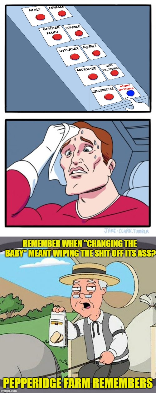 REMEMBER WHEN "CHANGING THE BABY" MEANT WIPING THE SH!T OFF ITS ASS? PEPPERIDGE FARM REMEMBERS | made w/ Imgflip meme maker