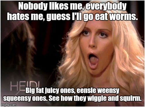 So Much Drama |  Nobody likes me, everybody hates me, guess I'll go eat worms. Big fat juicy ones, eensie weensy squeensy ones. See how they wiggle and squirm. | image tagged in memes,so much drama | made w/ Imgflip meme maker
