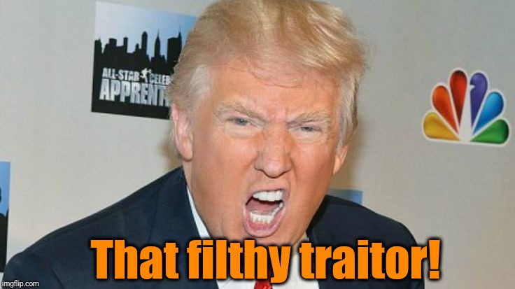 That filthy traitor! | image tagged in trump mad | made w/ Imgflip meme maker