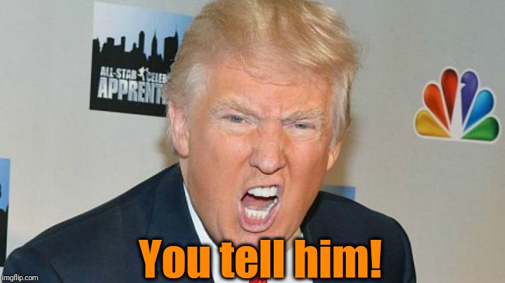 You tell him! | image tagged in trump mad | made w/ Imgflip meme maker