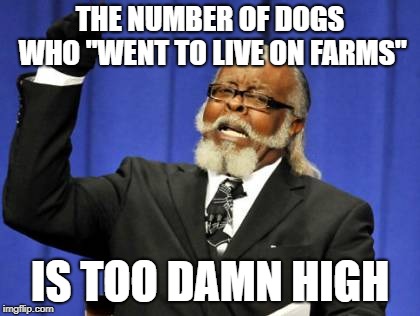 Too Damn High Meme | THE NUMBER OF DOGS WHO "WENT TO LIVE ON FARMS" IS TOO DAMN HIGH | image tagged in memes,too damn high | made w/ Imgflip meme maker