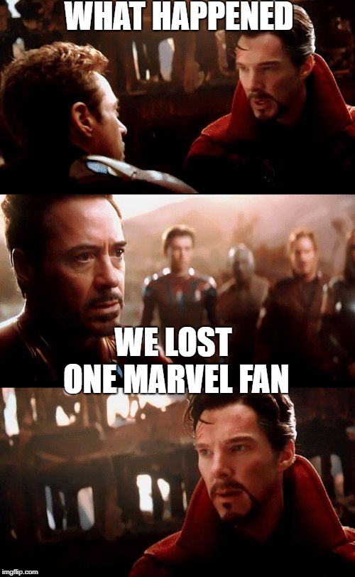 Infinity War - 14mil futures | WHAT HAPPENED; WE LOST ONE MARVEL FAN | image tagged in infinity war - 14mil futures | made w/ Imgflip meme maker