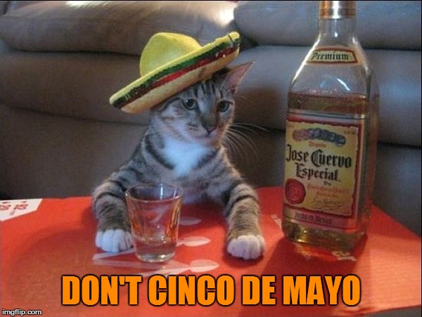 finals cinco de mayo | DON'T CINCO DE MAYO | image tagged in finals cinco de mayo | made w/ Imgflip meme maker
