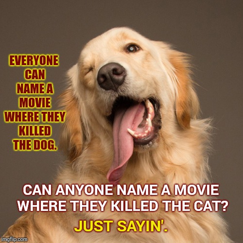 It's True.  Cats!  Am I Right?   | EVERYONE CAN NAME A MOVIE WHERE THEY KILLED THE DOG. CAN ANYONE NAME A MOVIE WHERE THEY KILLED THE CAT? JUST SAYIN'. | image tagged in memes,meme,grumpy cat,dogs an cats,funny dogs,cute dogs | made w/ Imgflip meme maker