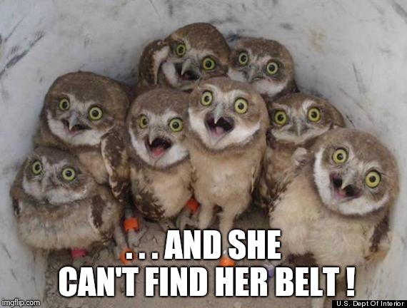 Amazed Owls | . . . AND SHE CAN'T FIND HER BELT ! | image tagged in amazed owls | made w/ Imgflip meme maker