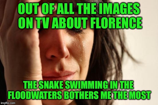 Yeah, people dying-horrible, but..... | OUT OF ALL THE IMAGES ON TV ABOUT FLORENCE; THE SNAKE SWIMMING IN THE FLOODWATERS BOTHERS ME THE MOST | image tagged in memes,first world problems,i hate snakes,hurricane florence | made w/ Imgflip meme maker
