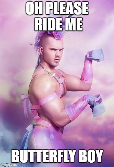 Unicorn | OH PLEASE RIDE ME BUTTERFLY BOY | image tagged in unicorn | made w/ Imgflip meme maker