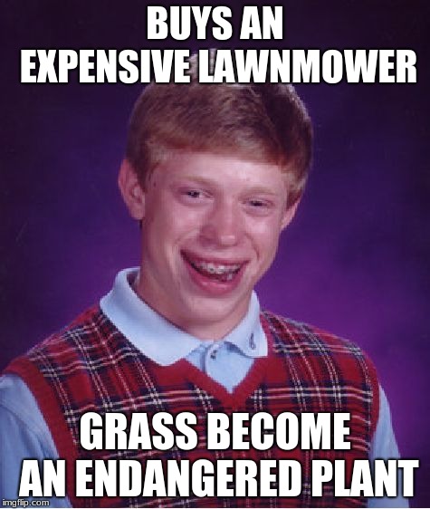 Fun fact: Grass is an invasive species  | BUYS AN EXPENSIVE LAWNMOWER; GRASS BECOME AN ENDANGERED PLANT | image tagged in memes,bad luck brian | made w/ Imgflip meme maker