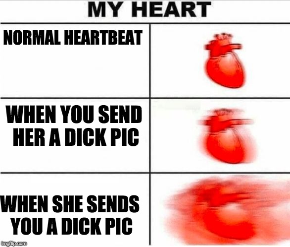 Heartbeat | NORMAL HEARTBEAT; WHEN YOU SEND HER A DICK PIC; WHEN SHE SENDS YOU A DICK PIC | image tagged in heartbeat | made w/ Imgflip meme maker