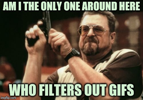 Am I The Only One Around Here Meme | AM I THE ONLY ONE AROUND HERE WHO FILTERS OUT GIFS | image tagged in memes,am i the only one around here | made w/ Imgflip meme maker