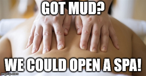 Massage Therapy | GOT MUD? WE COULD OPEN A SPA! | image tagged in massage therapy | made w/ Imgflip meme maker