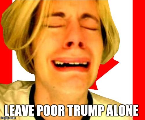 Leave Canada Alone | LEAVE POOR TRUMP ALONE | image tagged in leave canada alone | made w/ Imgflip meme maker