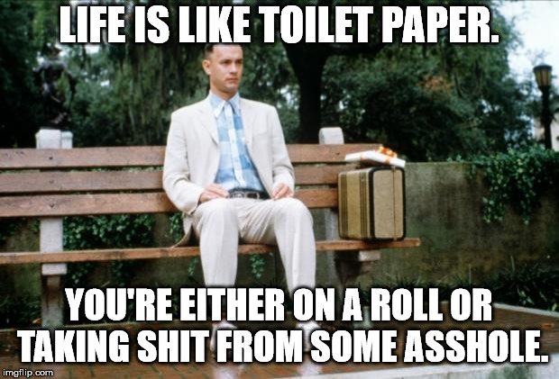 Forrest Gump |  LIFE IS LIKE TOILET PAPER. YOU'RE EITHER ON A ROLL OR TAKING SHIT FROM SOME ASSHOLE. | image tagged in forrest gump | made w/ Imgflip meme maker