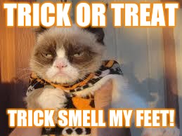 Grumpy Cat Halloween Meme | TRICK OR TREAT; TRICK SMELL MY FEET! | image tagged in memes,grumpy cat halloween,grumpy cat | made w/ Imgflip meme maker