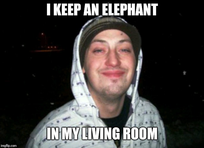 I KEEP AN ELEPHANT IN MY LIVING ROOM | made w/ Imgflip meme maker