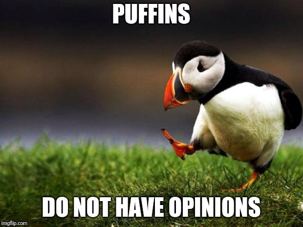Unpopular Opinion Puffin Meme | PUFFINS; DO NOT HAVE OPINIONS | image tagged in memes,unpopular opinion puffin | made w/ Imgflip meme maker