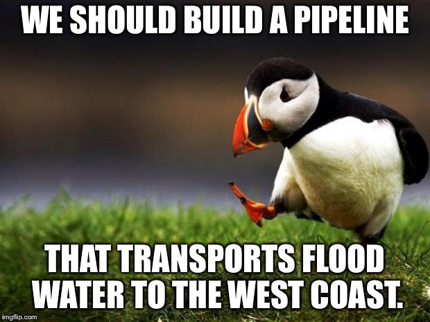 Unpopular Opinion Puffin Meme | WE SHOULD BUILD A PIPELINE THAT TRANSPORTS FLOOD WATER TO THE WEST COAST. | image tagged in memes,unpopular opinion puffin | made w/ Imgflip meme maker