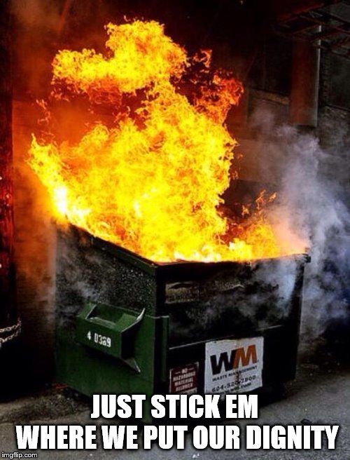 Dumpster Fire | JUST STICK EM WHERE WE PUT OUR DIGNITY | image tagged in dumpster fire | made w/ Imgflip meme maker