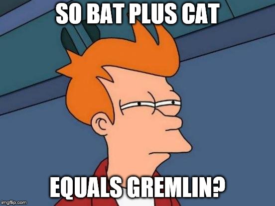 Futurama Fry Meme | SO BAT PLUS CAT EQUALS GREMLIN? | image tagged in memes,futurama fry | made w/ Imgflip meme maker