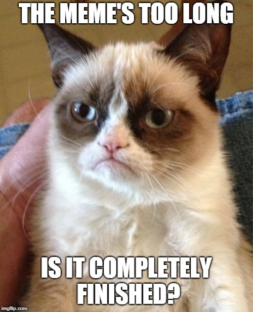Grumpy Cat Meme | THE MEME'S TOO LONG IS IT COMPLETELY FINISHED? | image tagged in memes,grumpy cat | made w/ Imgflip meme maker