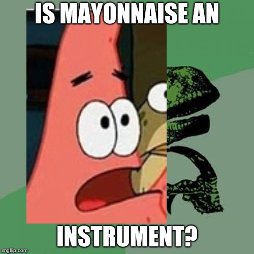 IS MAYONNAISE AN; INSTRUMENT? | image tagged in funny memes | made w/ Imgflip meme maker