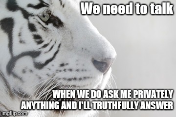 Need to talk | We need to talk; WHEN WE DO ASK ME PRIVATELY ANYTHING AND I'LL TRUTHFULLY ANSWER | image tagged in need to talk,ask me a question | made w/ Imgflip meme maker