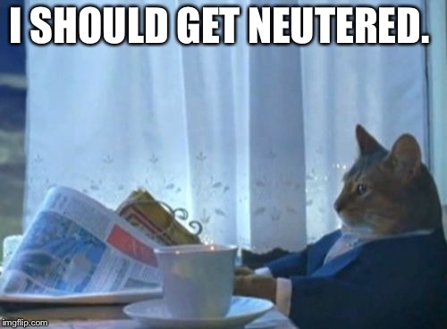 I Should Buy A Boat Cat Meme | I SHOULD GET NEUTERED. | image tagged in memes,i should buy a boat cat | made w/ Imgflip meme maker