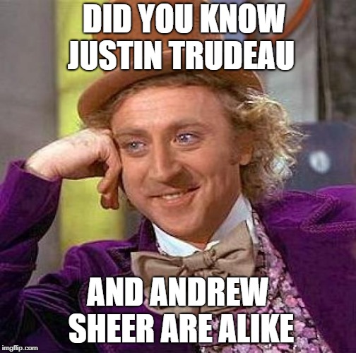 Creepy Condescending Wonka | DID YOU KNOW JUSTIN TRUDEAU; AND ANDREW SHEER ARE ALIKE | image tagged in memes,creepy condescending wonka | made w/ Imgflip meme maker