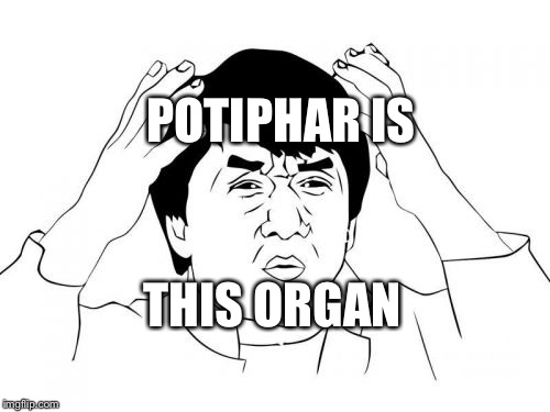 Jackie Chan WTF Meme | POTIPHAR IS THIS ORGAN | image tagged in memes,jackie chan wtf | made w/ Imgflip meme maker