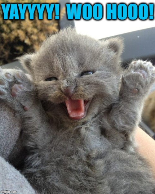 Yay Kitty | YAYYYY!  WOO HOOO! | image tagged in yay kitty | made w/ Imgflip meme maker