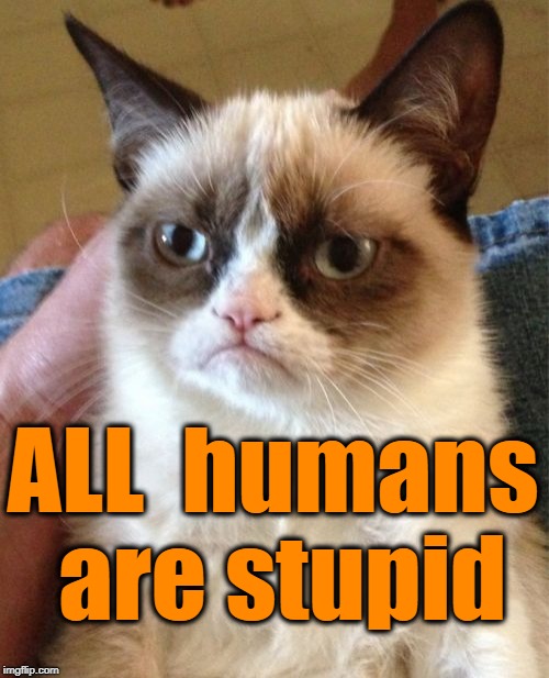 Grumpy Cat Meme | ALL  humans are stupid | image tagged in memes,grumpy cat | made w/ Imgflip meme maker