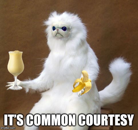 Persian white monkey | IT’S COMMON COURTESY | image tagged in persian white monkey | made w/ Imgflip meme maker