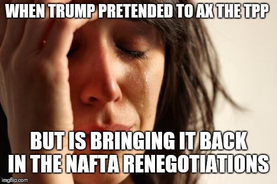 First World Problems Meme | WHEN TRUMP PRETENDED TO AX THE TPP; BUT IS BRINGING IT BACK IN THE NAFTA RENEGOTIATIONS | image tagged in memes,first world problems | made w/ Imgflip meme maker