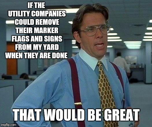 That would be great | IF THE UTILITY COMPANIES COULD REMOVE THEIR MARKER FLAGS AND SIGNS FROM MY YARD WHEN THEY ARE DONE; THAT WOULD BE GREAT | image tagged in memes,that would be great,funny,cell phones | made w/ Imgflip meme maker