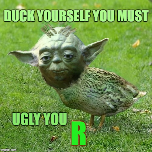 Duck Prophet I Am | DUCK YOURSELF YOU MUST; UGLY YOU; R | image tagged in yoda duck,my soupy sales are specialy meme,memes free today | made w/ Imgflip meme maker