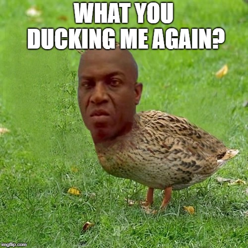 Deebo Duck |  WHAT YOU DUCKING ME AGAIN? | image tagged in deebo duck - coolbullshit | made w/ Imgflip meme maker