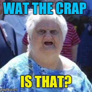 WAT Lady | WAT THE CRAP IS THAT? | image tagged in wat lady | made w/ Imgflip meme maker