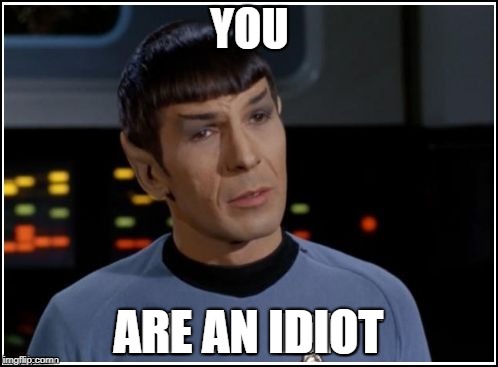 Spock Tore | YOU; ARE AN IDIOT | image tagged in spock tore | made w/ Imgflip meme maker