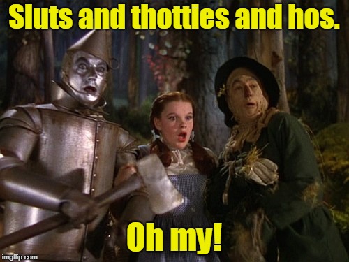 S**ts and thotties and hos. Oh my! | made w/ Imgflip meme maker
