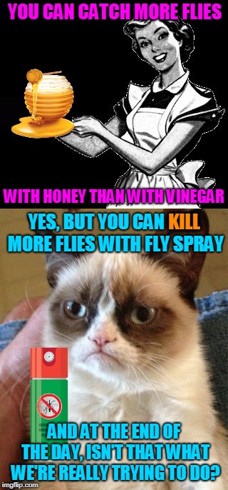 "Snappy Comebacks to Dumb Sayings..." by Grumpy Cat. | YOU CAN CATCH MORE FLIES; WITH HONEY THAN WITH VINEGAR; YES, BUT YOU CAN KILL MORE FLIES WITH FLY SPRAY; KILL; AND AT THE END OF THE DAY, ISN'T THAT WHAT WE'RE REALLY TRYING TO DO? | image tagged in memes,grumpy cat,vintage woman cooking,sayings,comeback,snappy comebacks to dumb sayings | made w/ Imgflip meme maker
